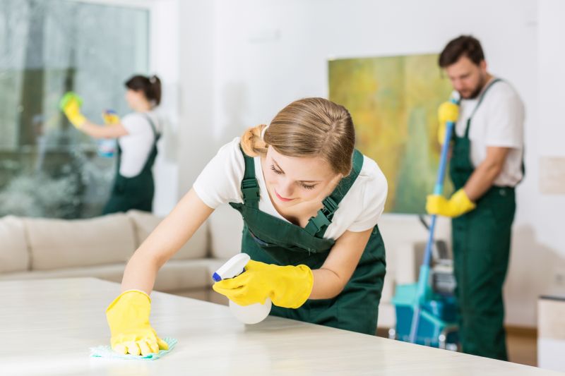 Basement Vacuuming in Frisco, TX
