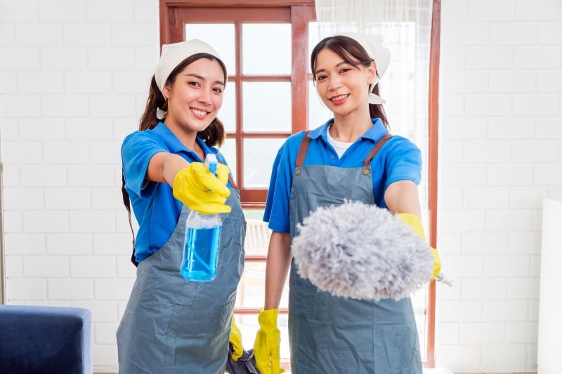 Monthly Maid Service in Frisco, TX